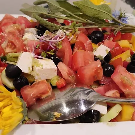 Hotel Tulip - Patio 3*