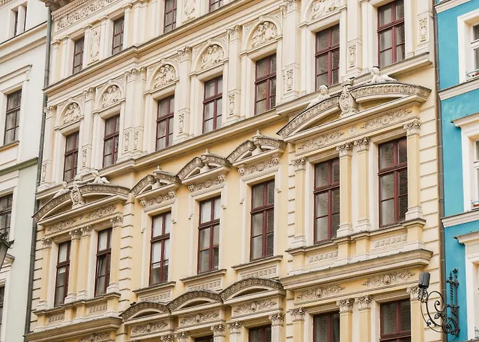 Tulip - Patio Vratislav