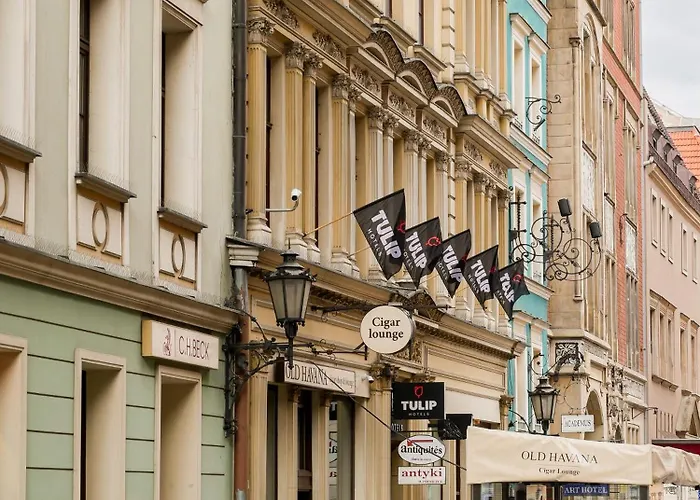 Tulip - Patio 3* Vratislav