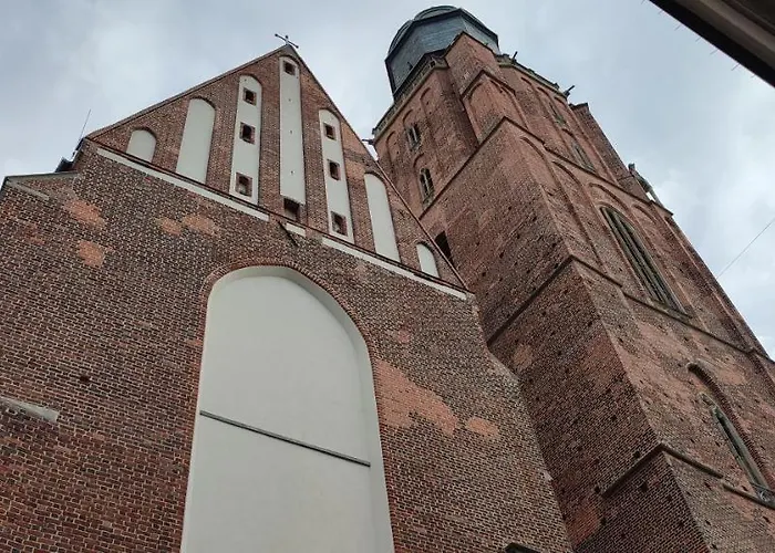 Tulip - Patio 호텔