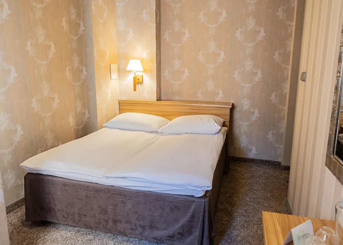 Hotel Tulip - Patio 3*